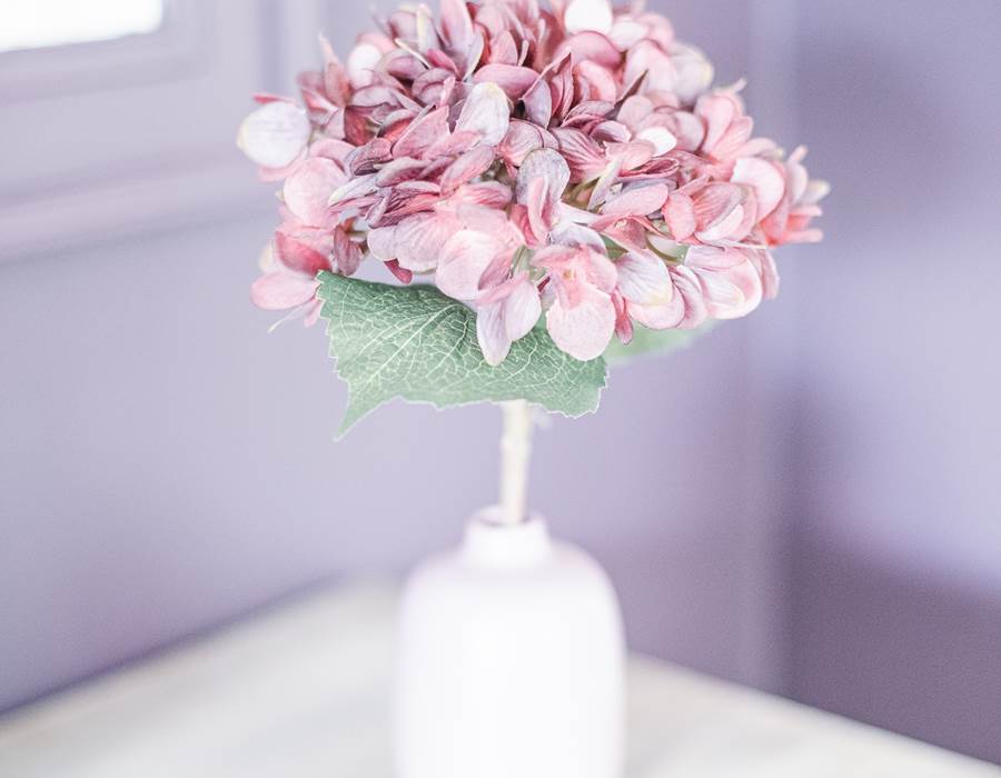 décoration / décor