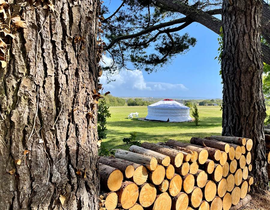 381AF413-8A67-4374-8D46-718DEDD34391