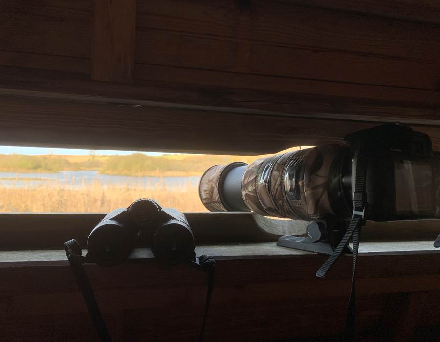 observation-oiseaux-morvan-sejour-ornithologique