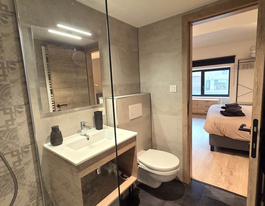 Salle de douche chambre 1