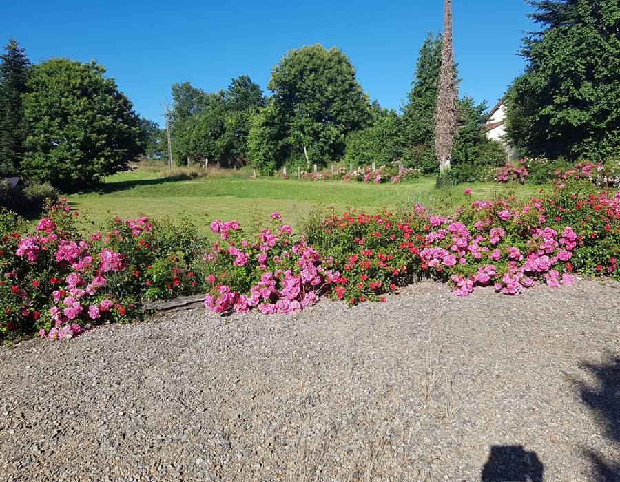 jardin fleuri Le Ranch des Lacs