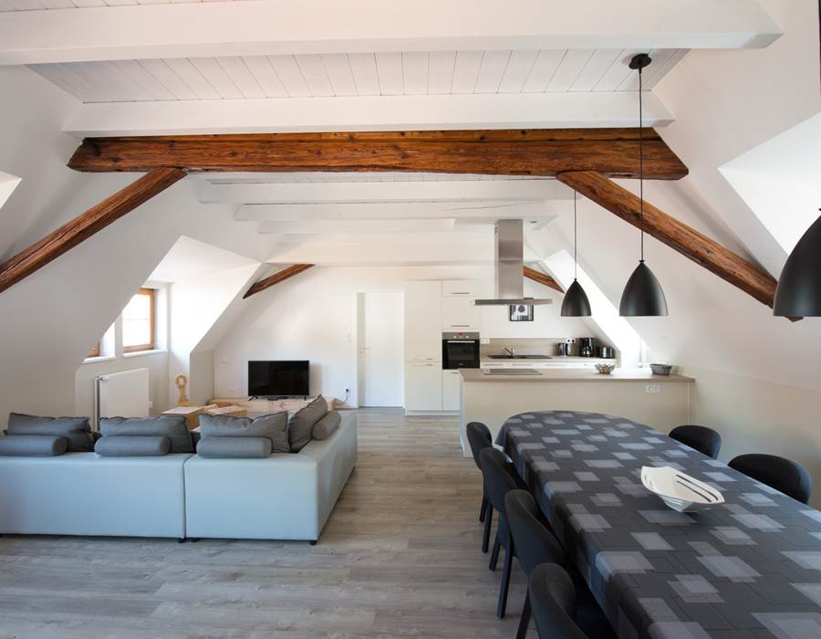 pièce à vivre / living room