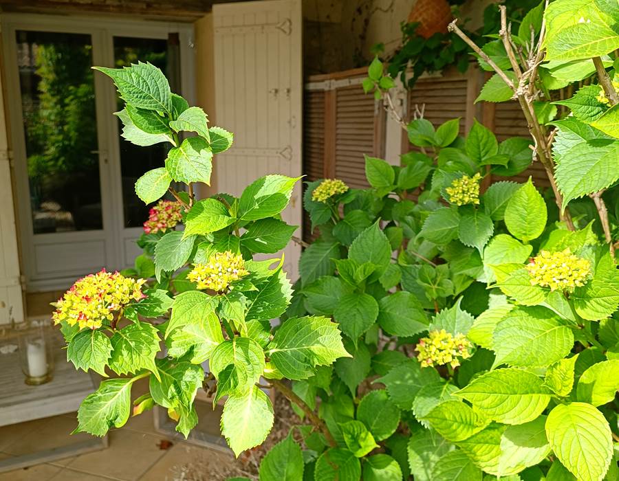 Gîtes, chambre d'hôtes et table d'hôtes gastronomique à Casteljaloux Lot et Garonne, piscine, jacuzzi et spa