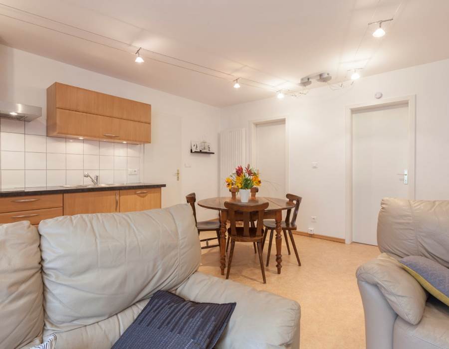 Salon / Living room