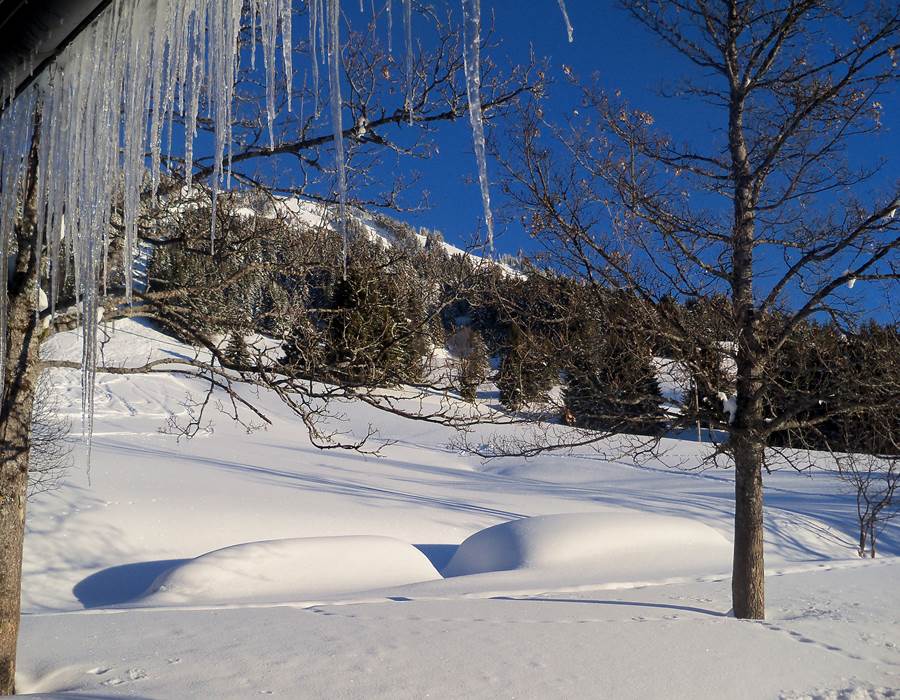 vue fenêtre cuisine