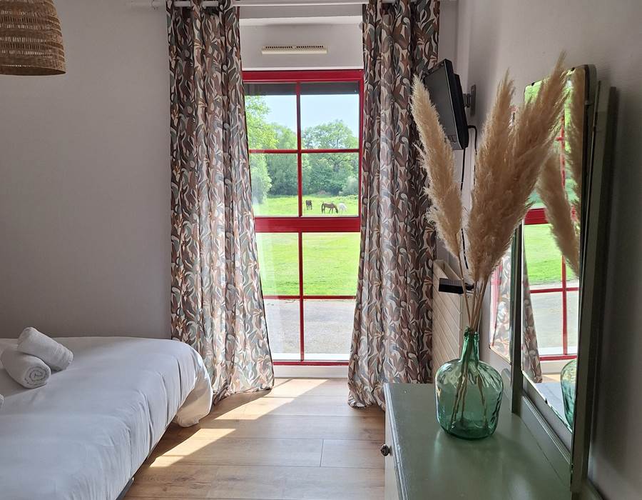 Vue sur les chevaux de la chambre randonneur