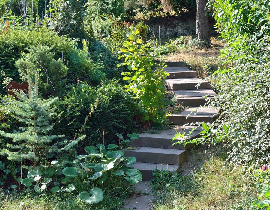 extérieur / outdoor