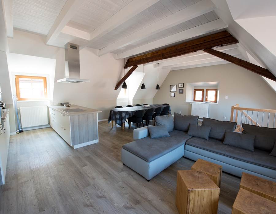 pièce à vivre / living room
