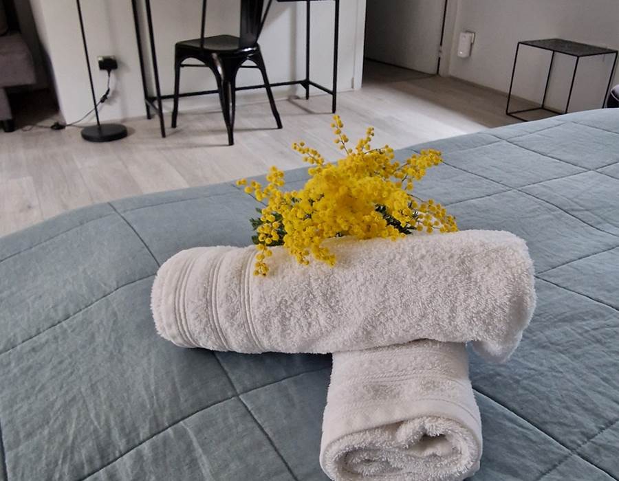 Suite Junior "La forêt"