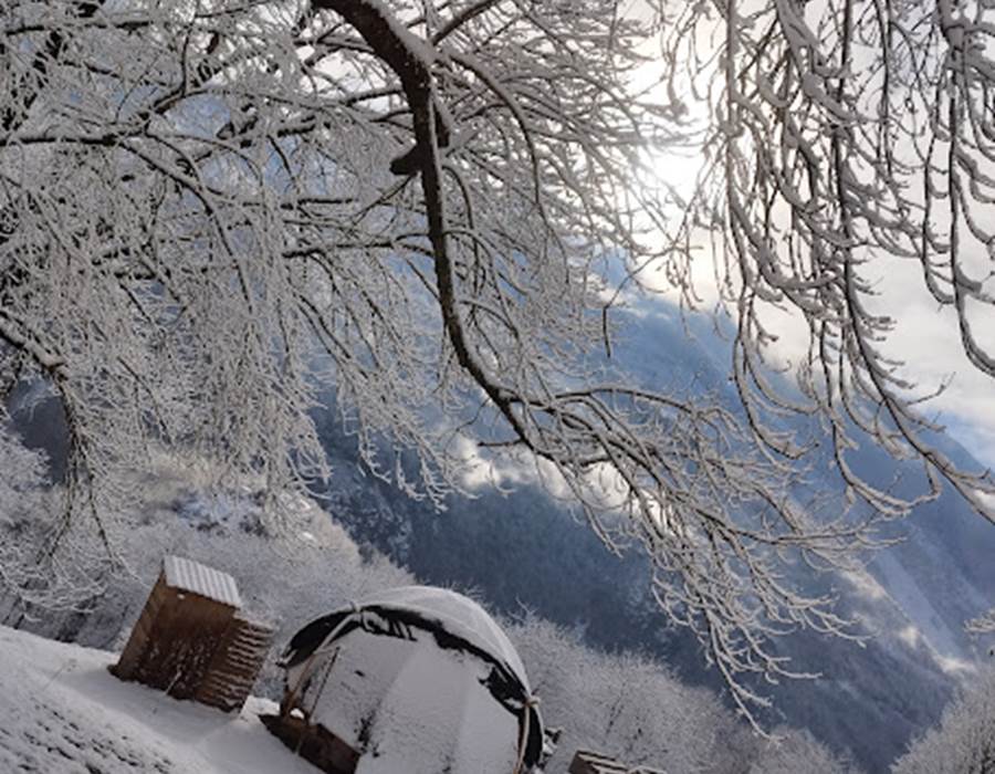 les cocons pyrénéens 3