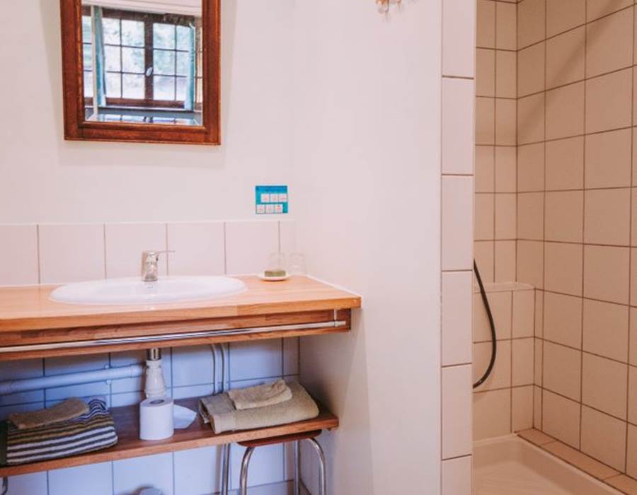 Chambre Forêt - Salle de douche
