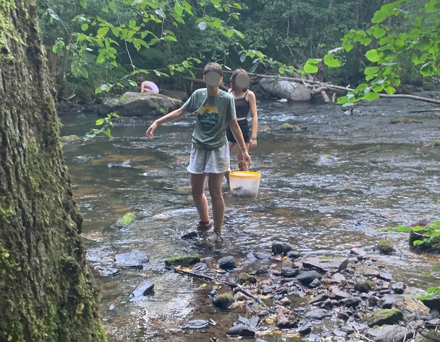 peche-ecrevisses-riviere-morvan