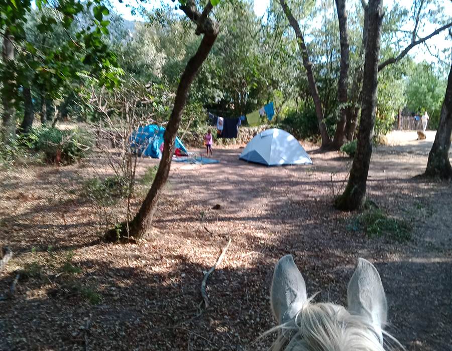 IMG_20240823_104303_895