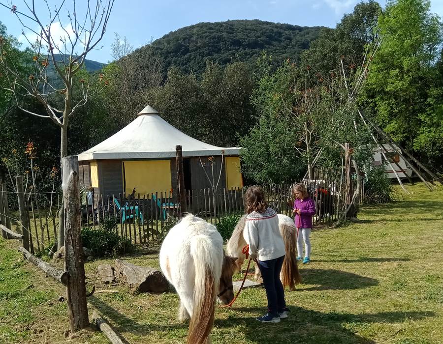 IMG_20230416_104400_862