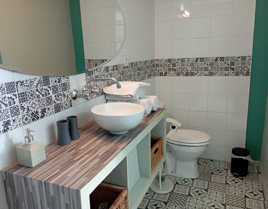 Chambre Garrigue - la salle d'eau