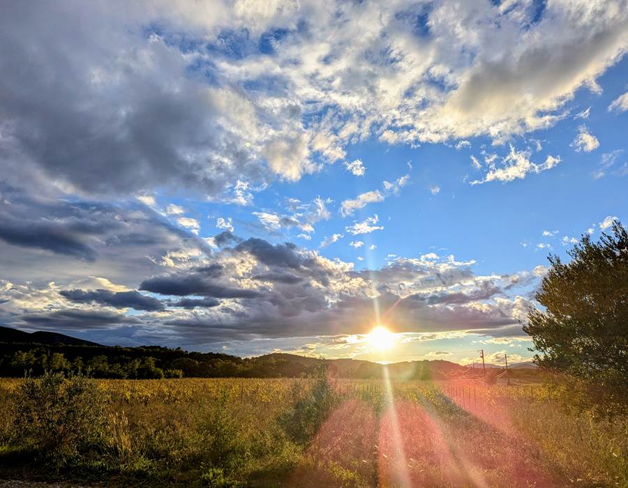 Coucher de soleil sur les vignes