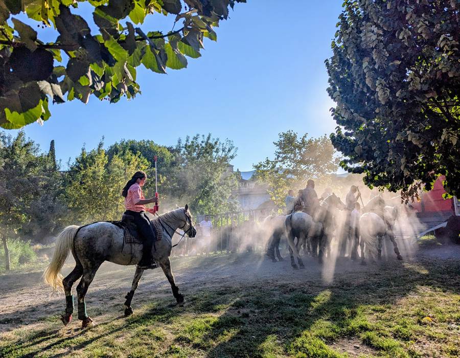 Abrivado à Quissac
