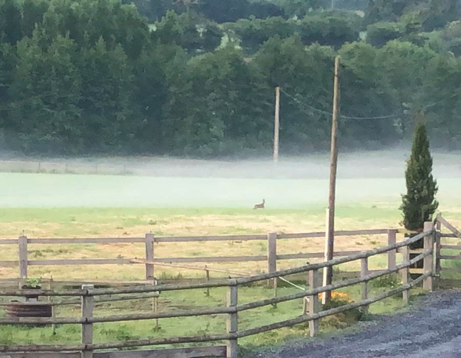 vue sur la vallée de Semilly et ses chevreuils
