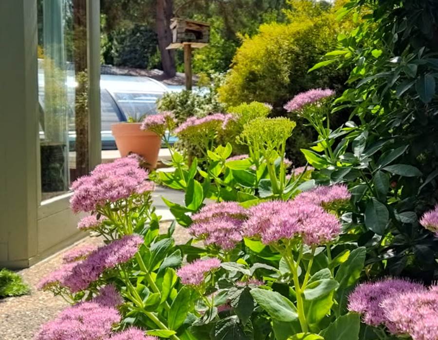 IMG_20250901_170601 (6)