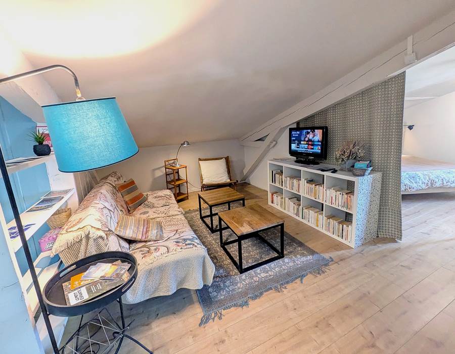 salon TV NETFLIX 16 Bis gite hotel-marssac-albi-terssac