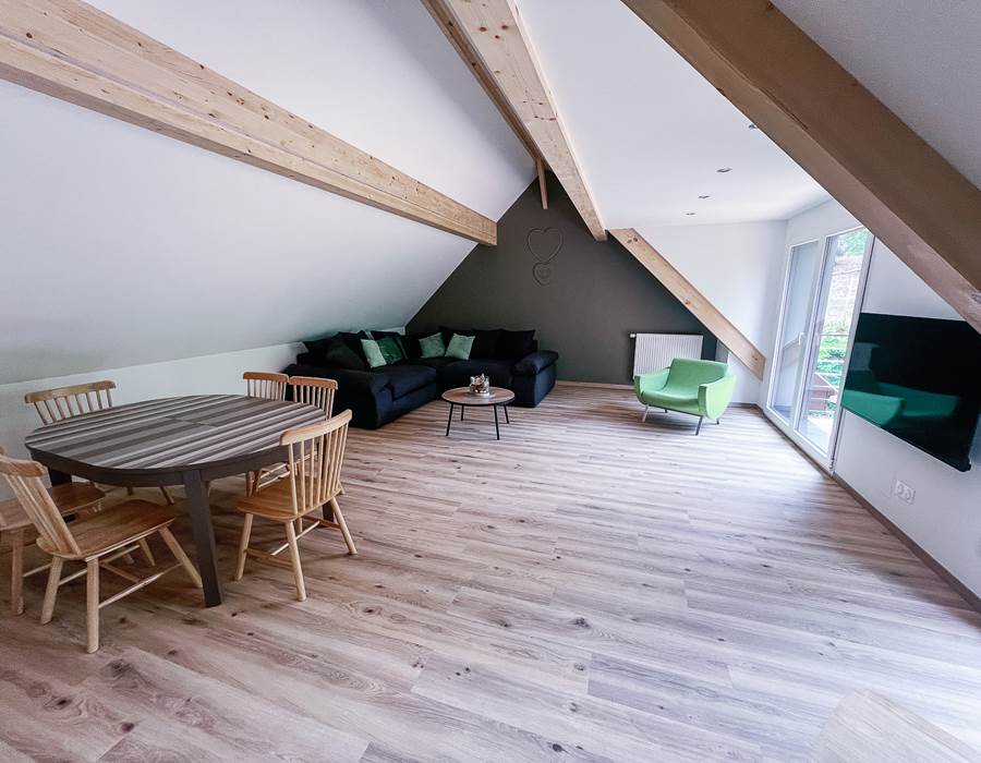 salon / living room