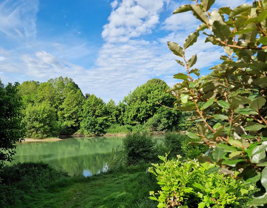 vue rivière