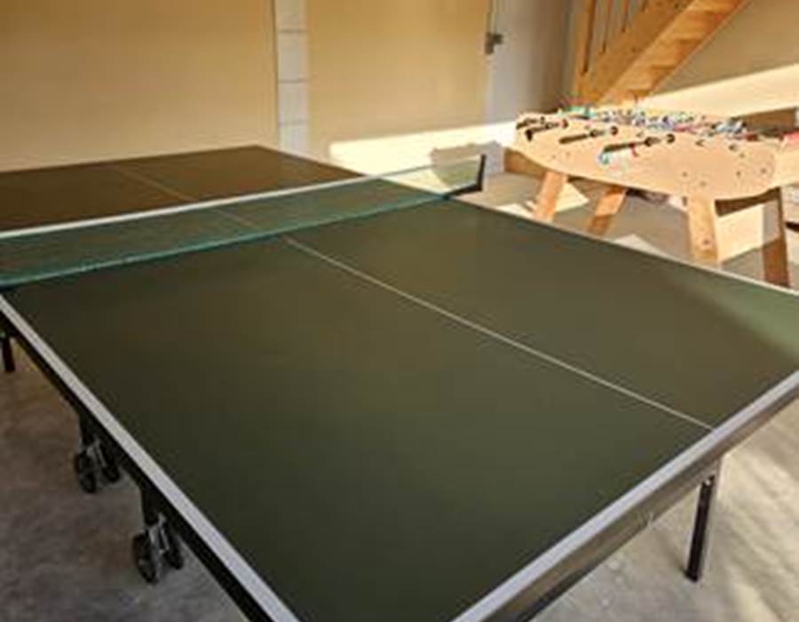 photo-pingpong