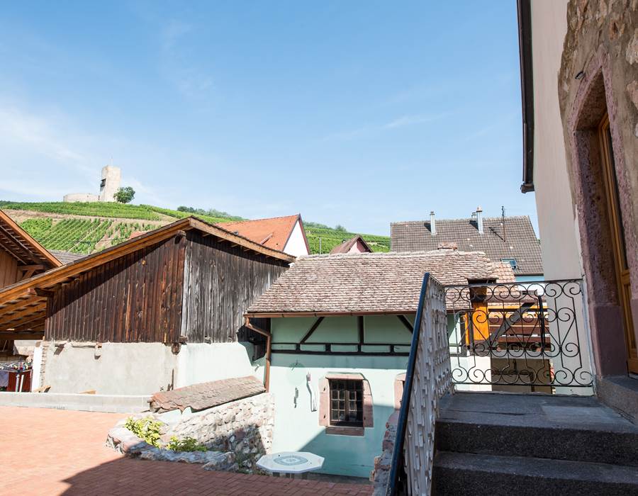 extérieur / outdoor