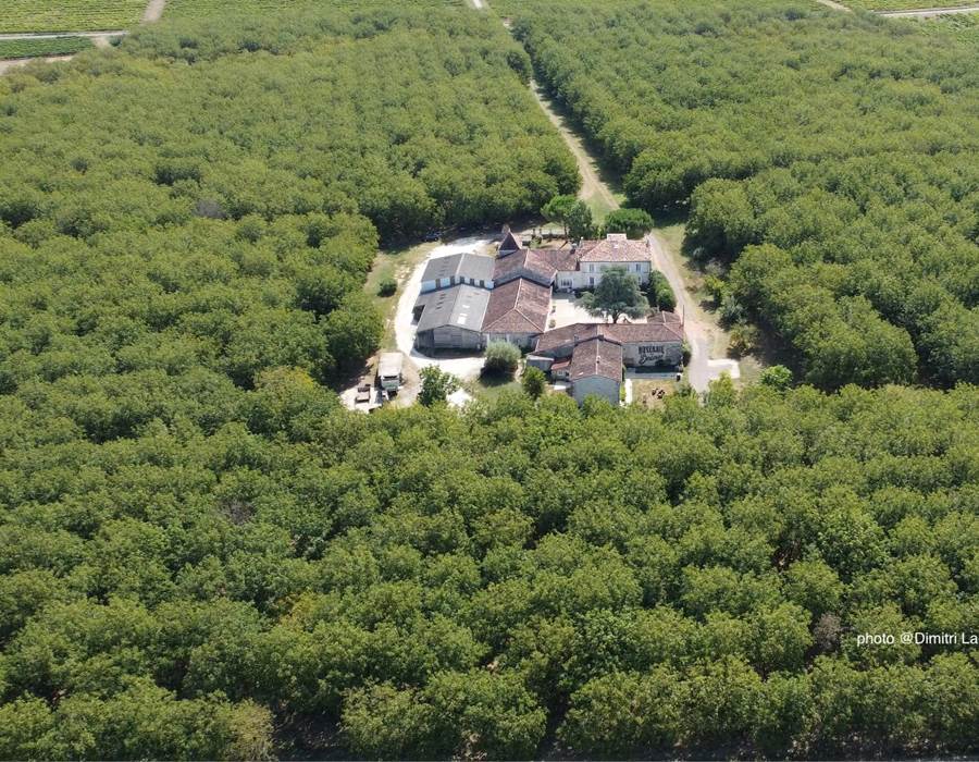 vue aerienne 1 dimitri