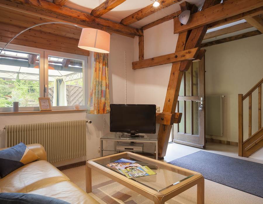 pièce à vivre / living room