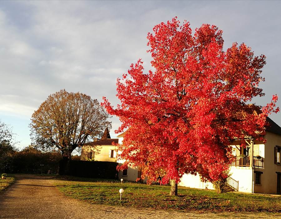automne à Pech de Loup