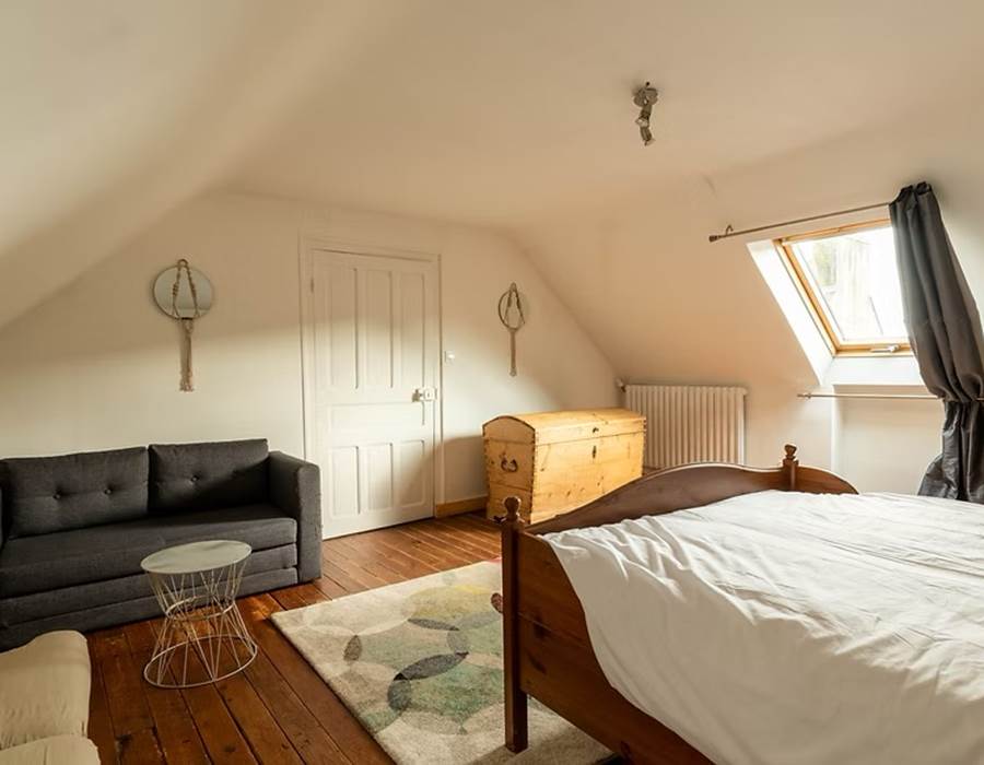 Chambre d'hôtes, RIEC SUR BELON, Chat Bohème