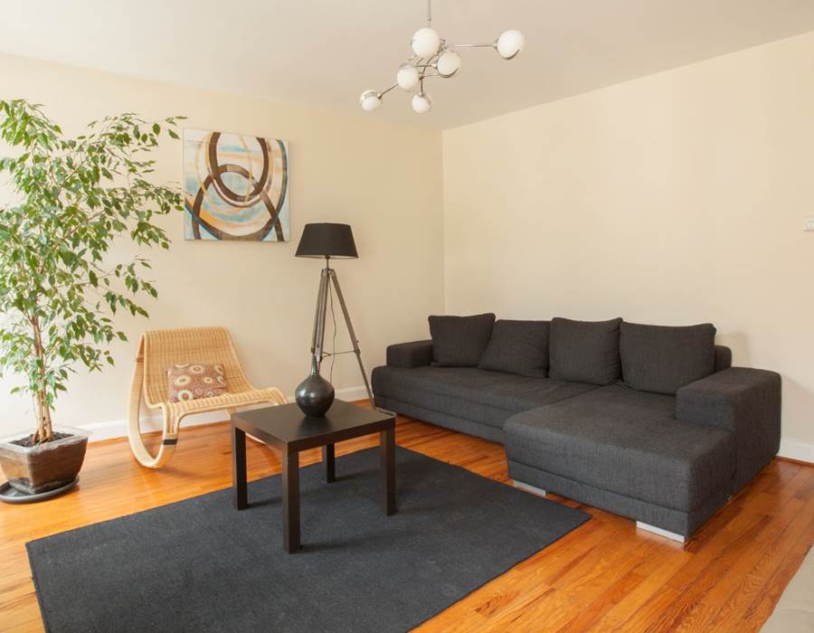 Salon / Living room