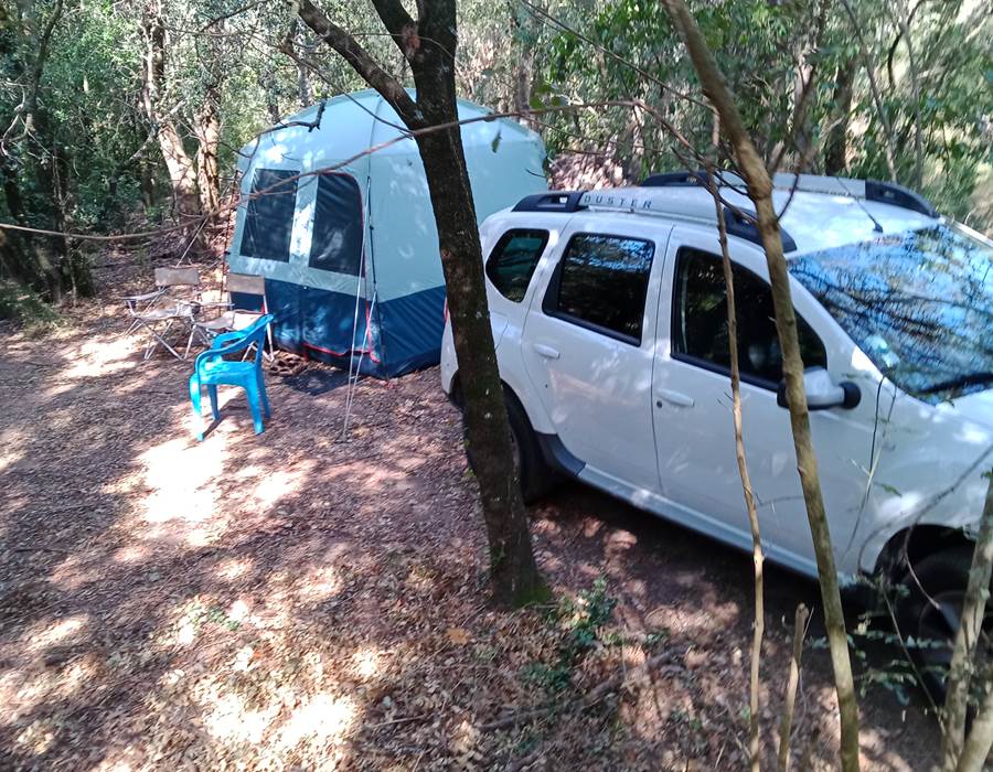 IMG_20240823_104300_862