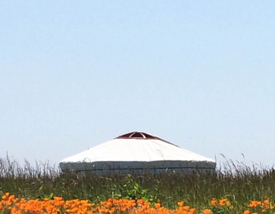 yourte des champs...