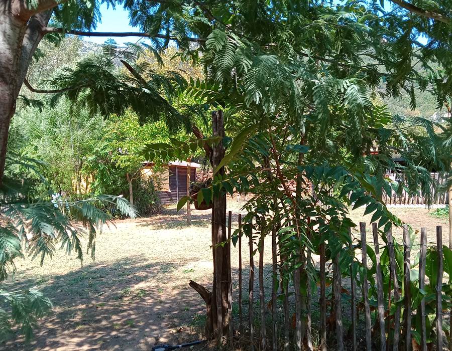 IMG_20240910_130407_914