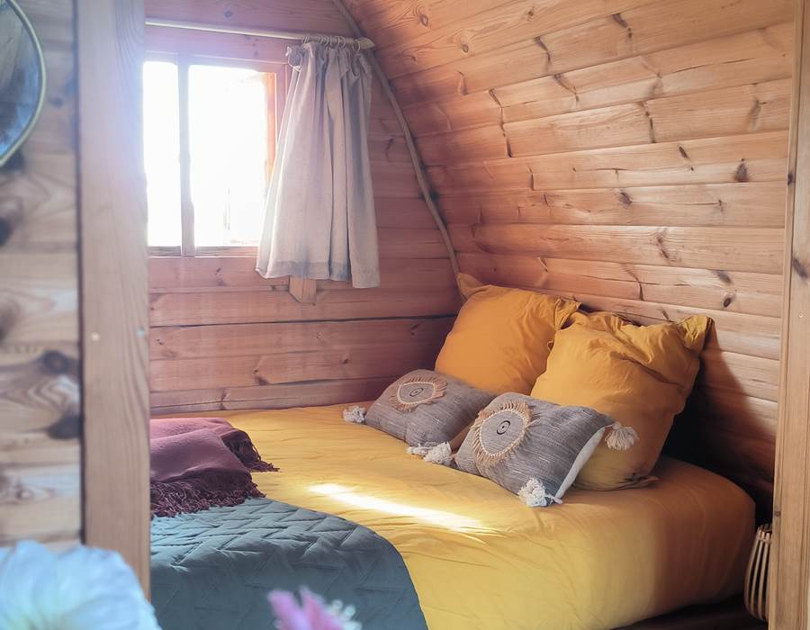 IMG_20251010_153314_1