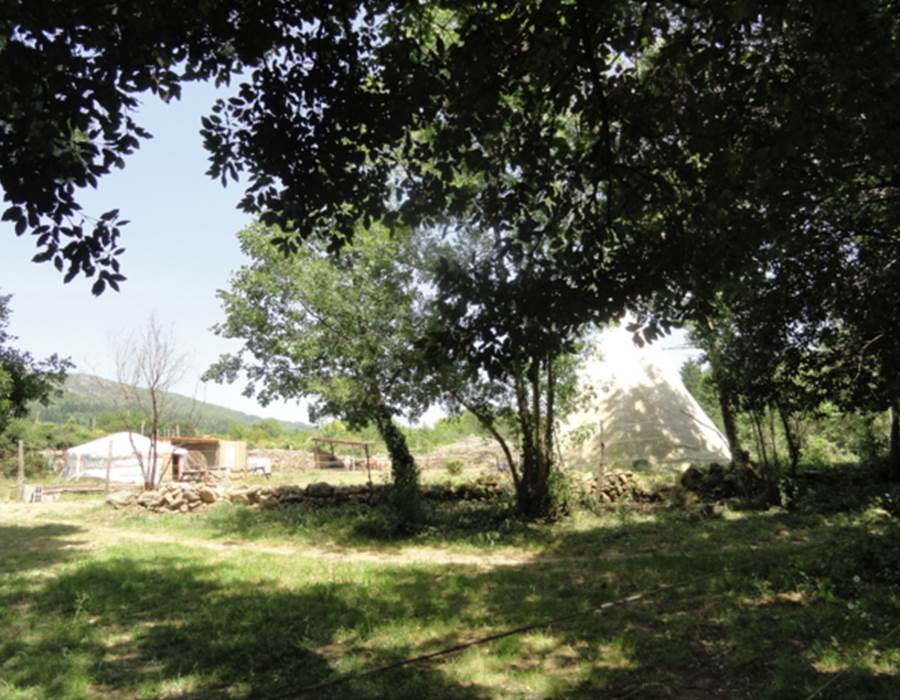 6808b6b873861566040135