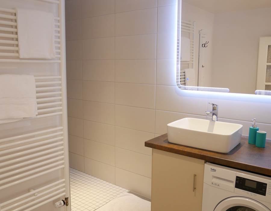 salle de bain / bathroom