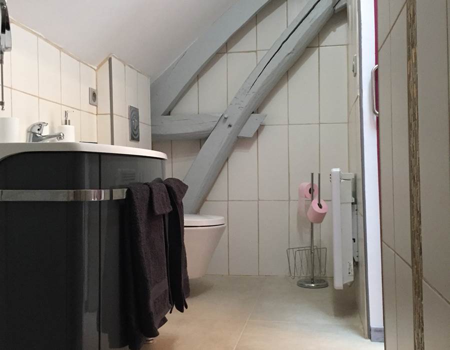 Lerougeetblanc-chambre hote gite-auxerre yonne bourgogne franche comté-piscine spa sauna hammam jacuzzi-famille couple mariage-repas dégustation- repos calme campagne-guedelon vezelay chablis joigny_Vaudésir10