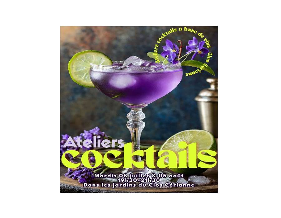 VISUEL ATELIERS COCKTAILS FORMAT PHOTO PETIT