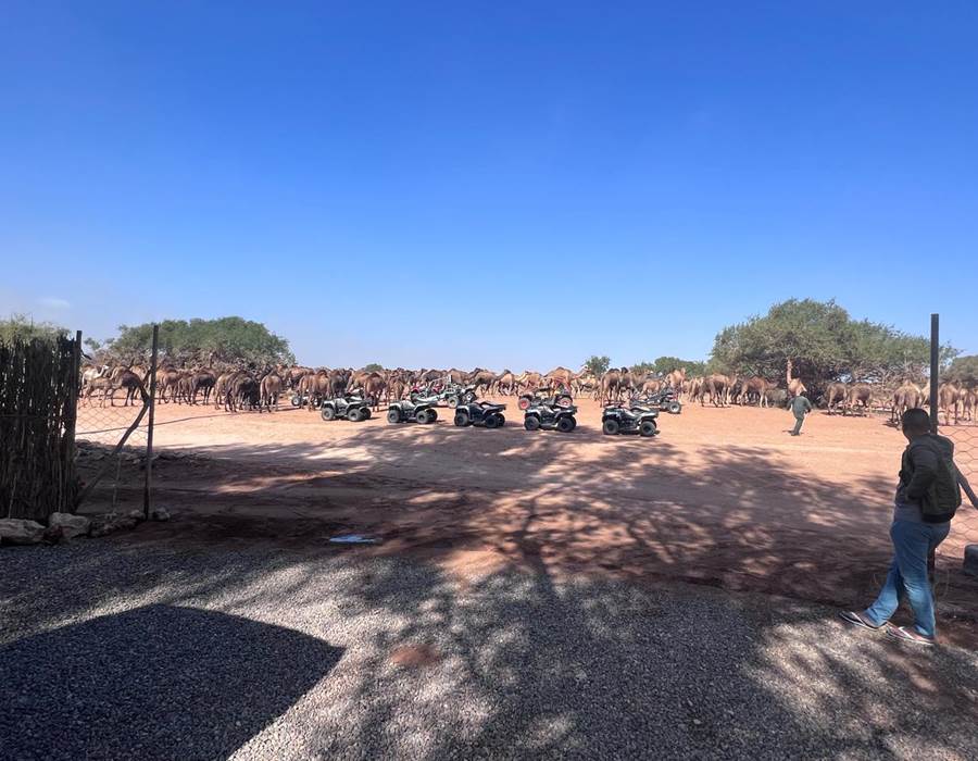 AGADIR QUAD - location de quad - Explorez Agadir en Quad pendant 2 heures!
