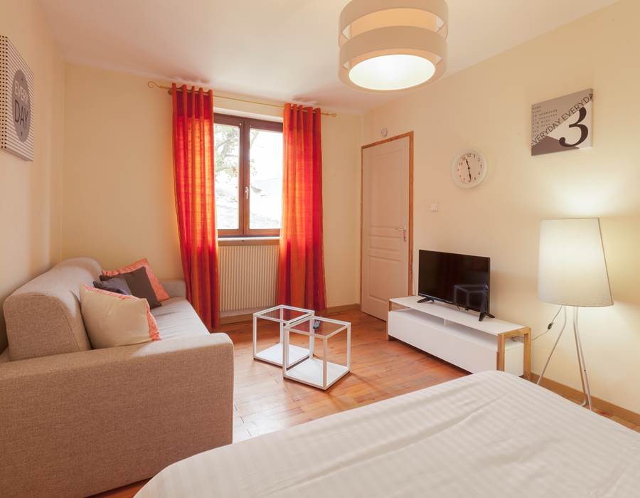 pièce à vivre / living room