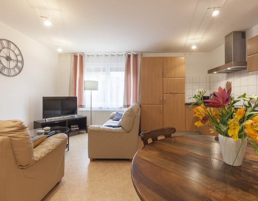 pièce à vivre / living room