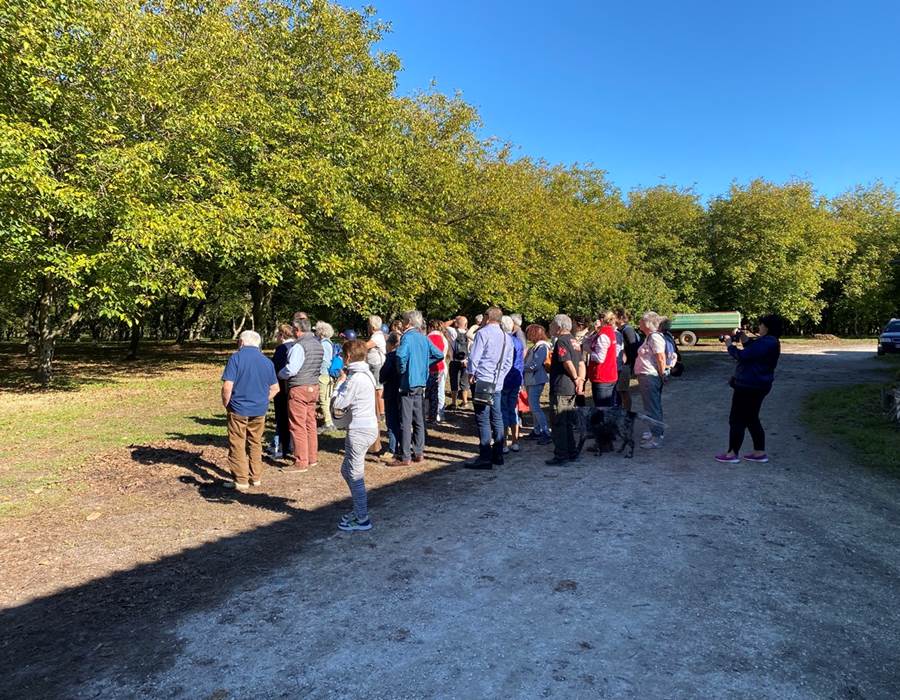 visites VERGER