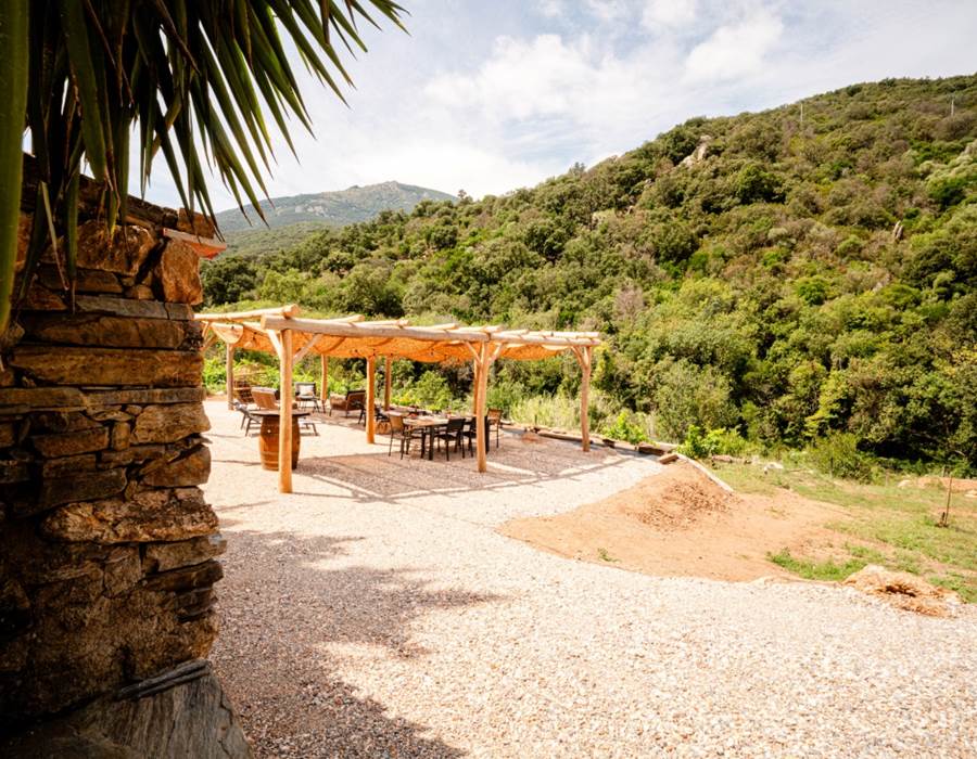 Pergolas dans jardin