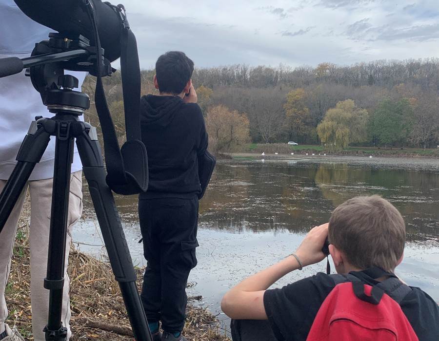 ornithologie-morvan-observation-oiseaux