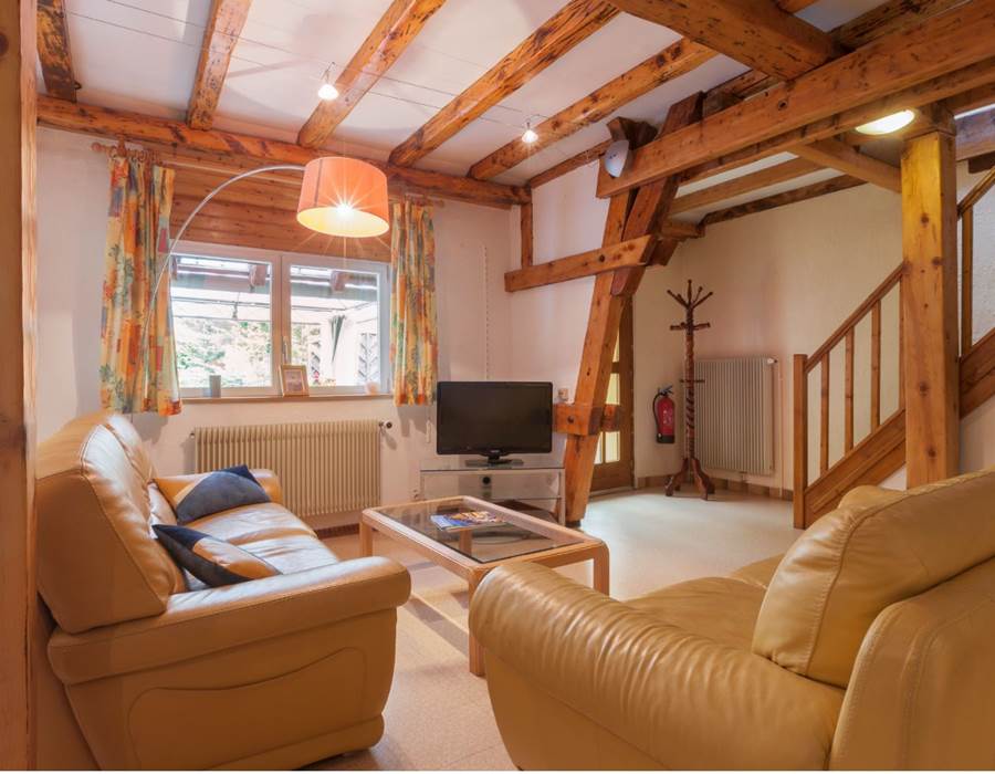 pièce à vivre / living room