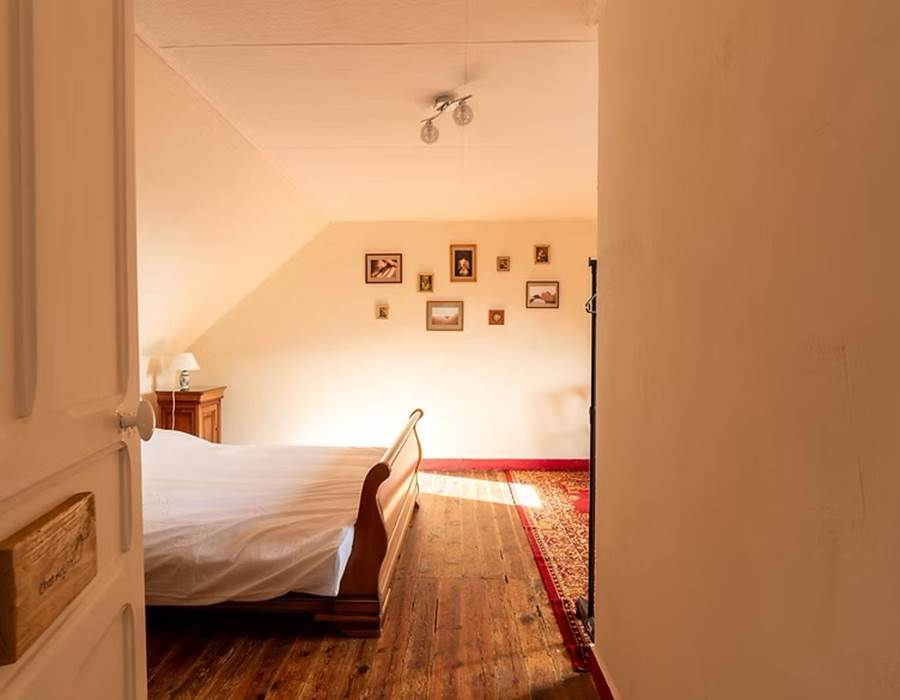 Chambre d'hôtes, RIEC SUR BELON, Chat Aristo