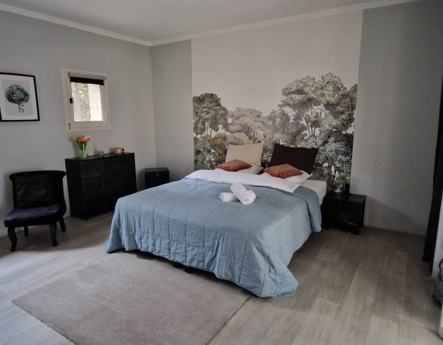 Suite junior "La forêt"